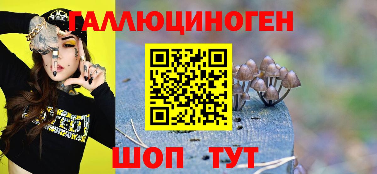Псилоцибиновые грибы MAGIC MUSHROOMS Ишим